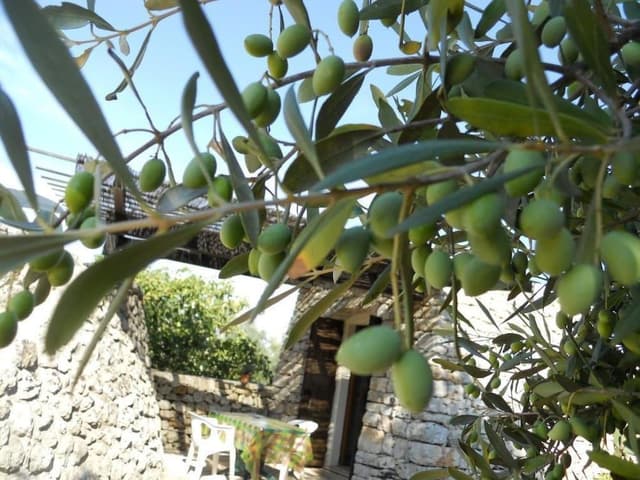Honeymoon Duplex (Pajara)