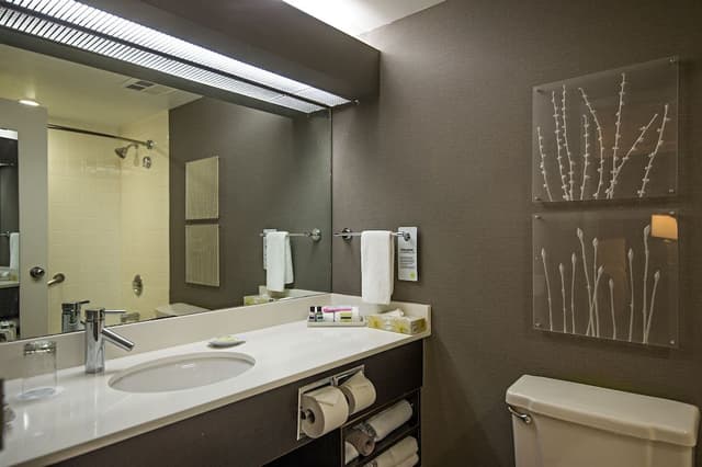 Deluxe One Bedroom Suite, Full Kitchen