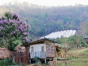Mori Natural Farm1