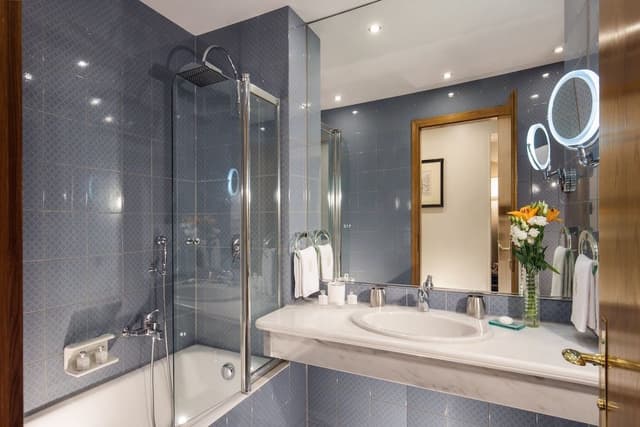 Superior Executive Single Room Garden View