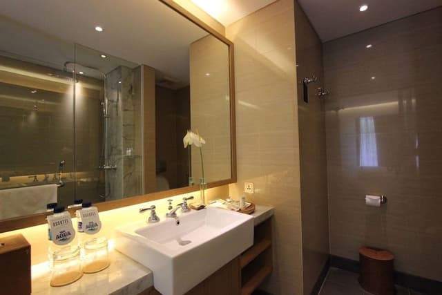 Deluxe Room, Pool Access