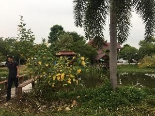 บ้านสวนวิวดีโฮมสเตย์ (Baan Suan View Dee Homestay)4