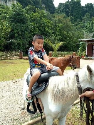 วิลล่า บ้านทนาย (Villa Ban Tanay)4