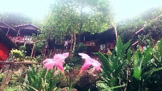 Phi Phi Green Hill Resort Phi Phi Green Hill Resort