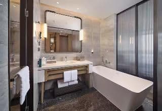 DOUBLE GUEST ROOM KING BED