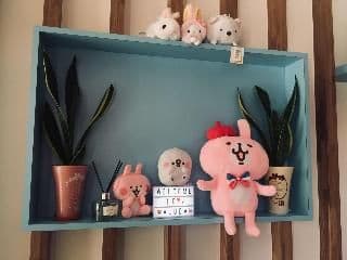 อาลูบา โฮสเทล อาลูบา โฮสเทล