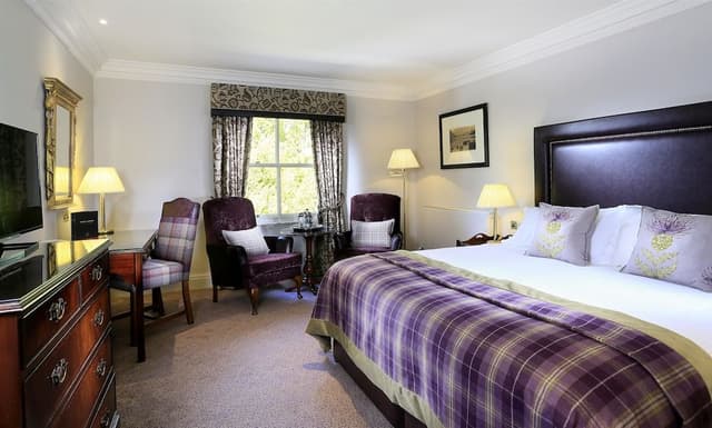 Standard Room, 1 King Bed (Standard King)