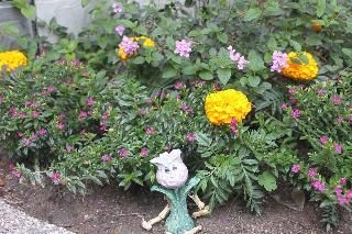 Hualien Tour B&B1