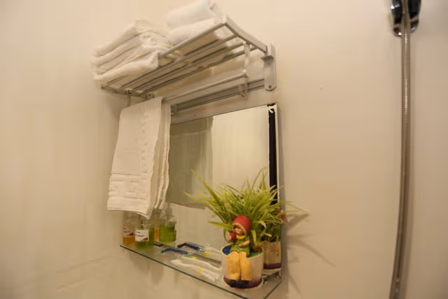Basic Double or Twin Room, 2 Twin Beds