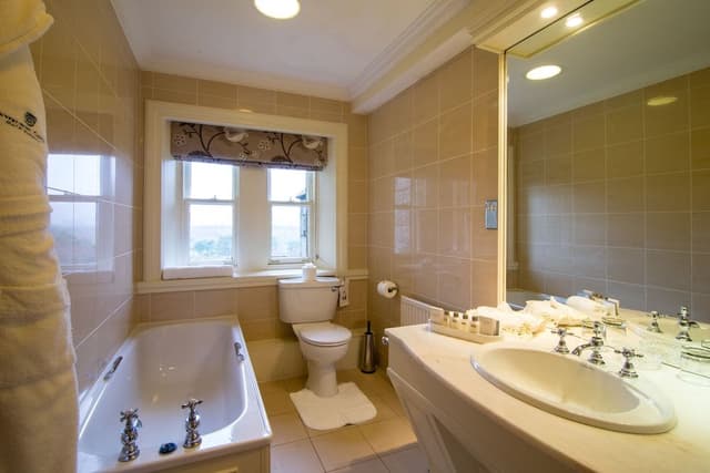 Double or Twin Room (Large)