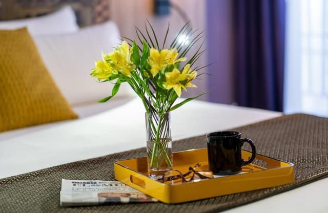 Superior Room Park & Sleep