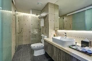 APARTMENT PENTHOUSE