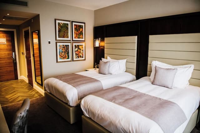 Luxury Twin Room