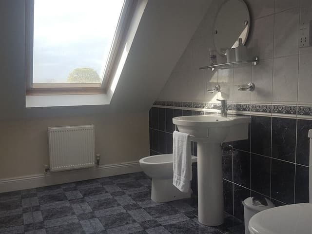 Double Room, Shared Bathroom (Attic)