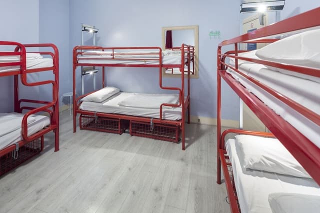 Bed in 8-Bed Mixed Dormitory Basic