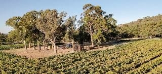 เคบิน แมคลาเรน เวล (Cabn Mclaren Vale)0