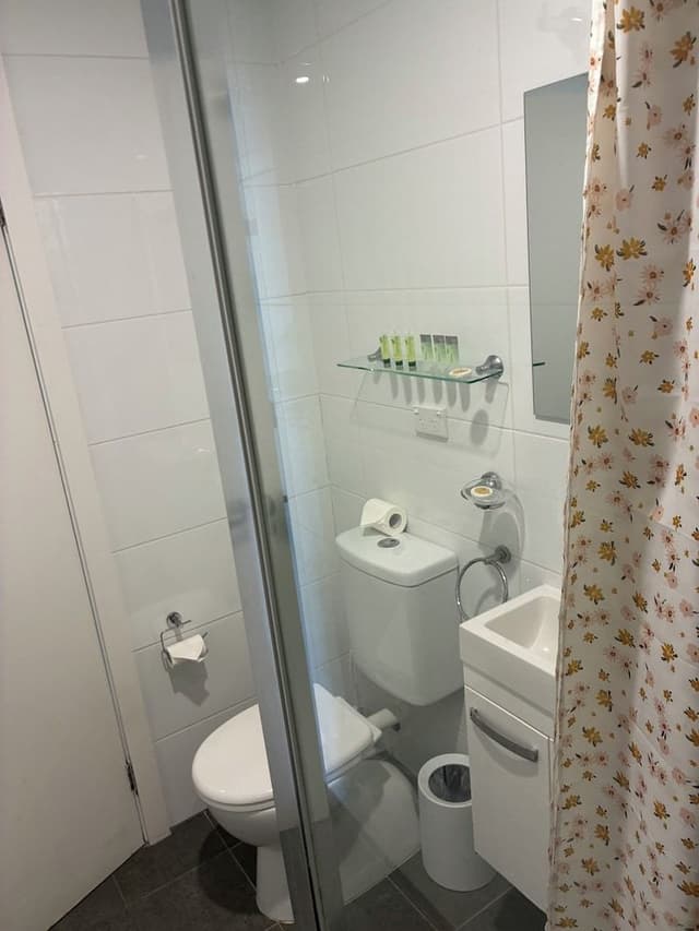 Family Queen Studio, Multiple Beds