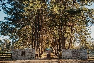 Aruna Estate3