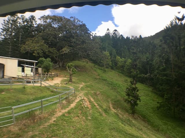 Standard Suite, 1 Bedroom, Shared Bathroom (GOLD COAST B & B RETREAT)