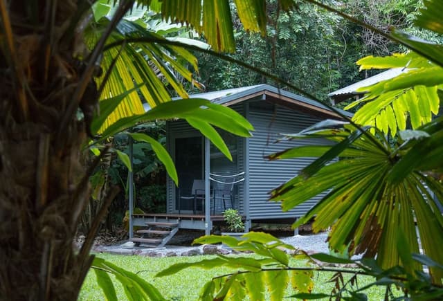 Safari Hut King