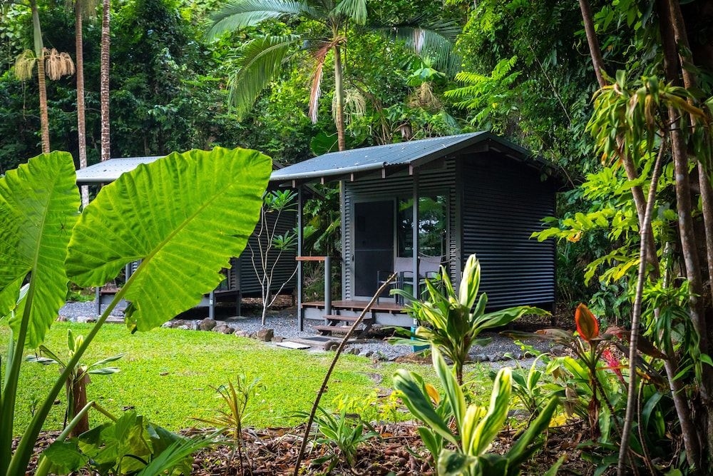 ซาฟารี ลอดจ์ (Safari Lodge)2