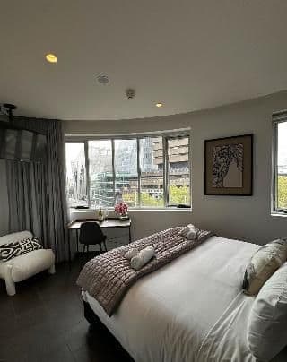 STUDIO DELUXE