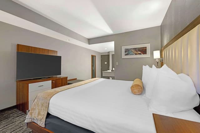 Standard Room, 1 King Bed, Non Smoking (Walk-in Shower)