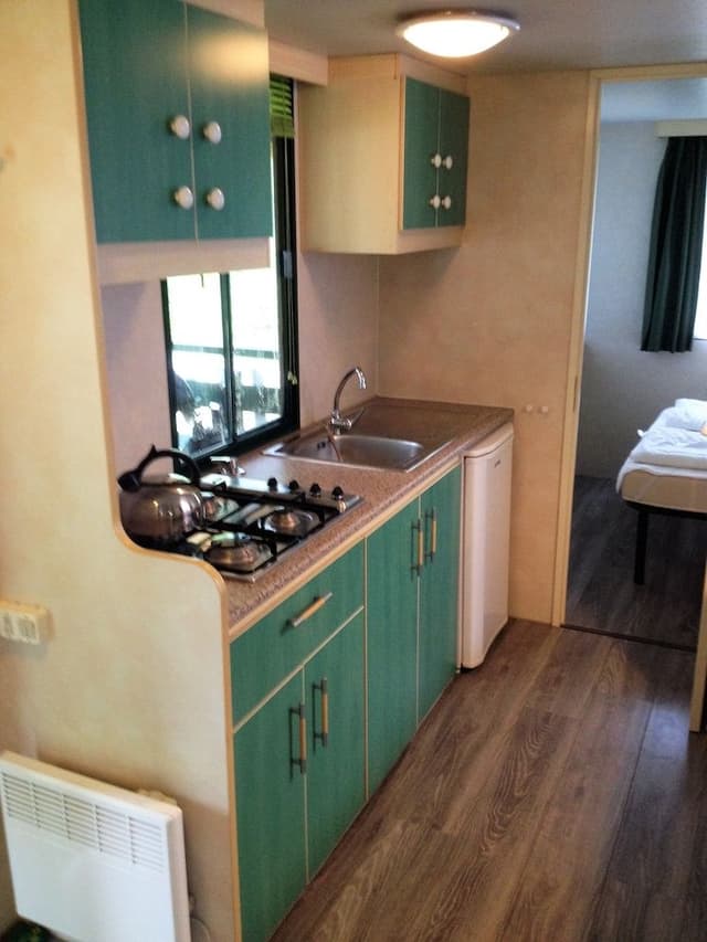 Mobile Home