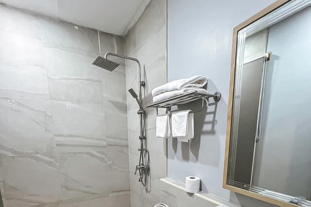 Premier Double or Twin Room