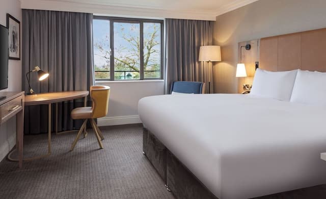 Classic King Room