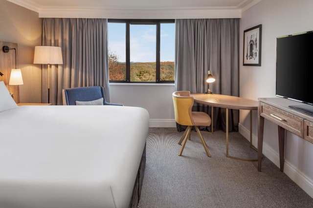 Classic King Room