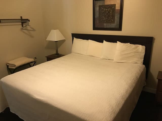 Mini Suite (Max 4 guests)