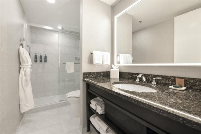 1 KING SUPERIOR SUITE
