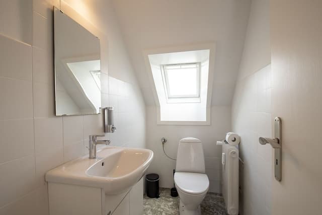 Junior Apartment