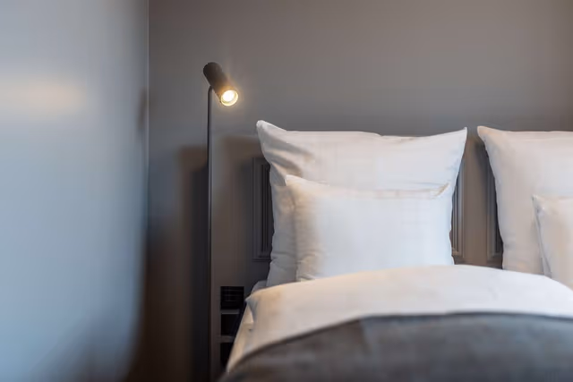 Standard Double Room, 1 King Bed