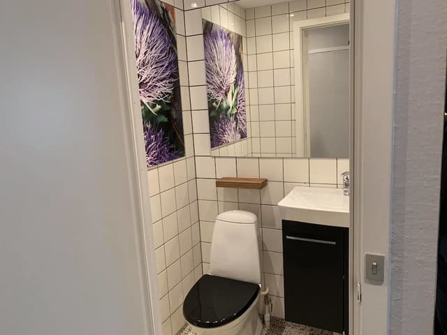 Basic Single Room