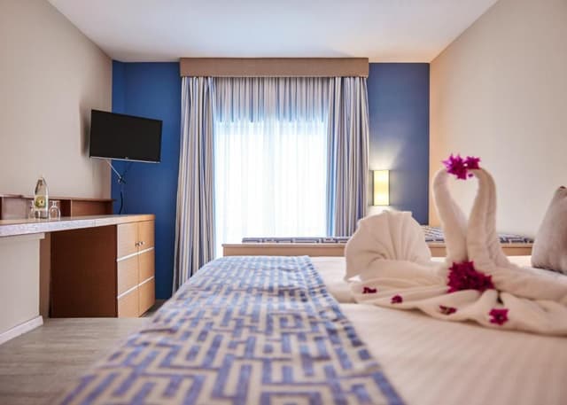 Superior Single Room
