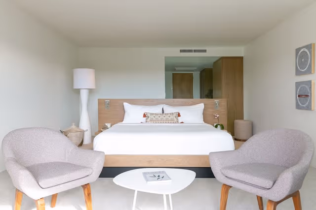 Room, 1 King Bed
