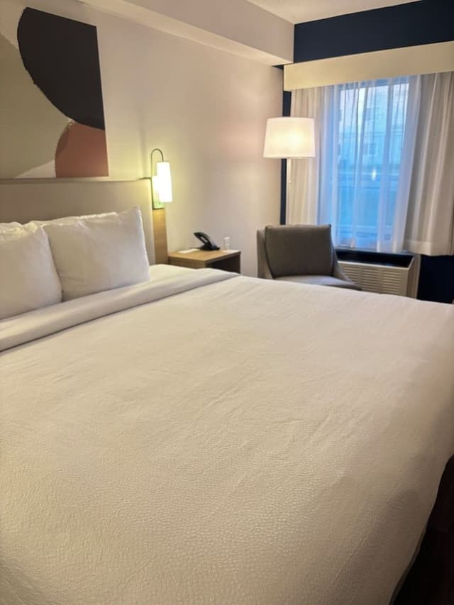 Room, 1 King Bed
