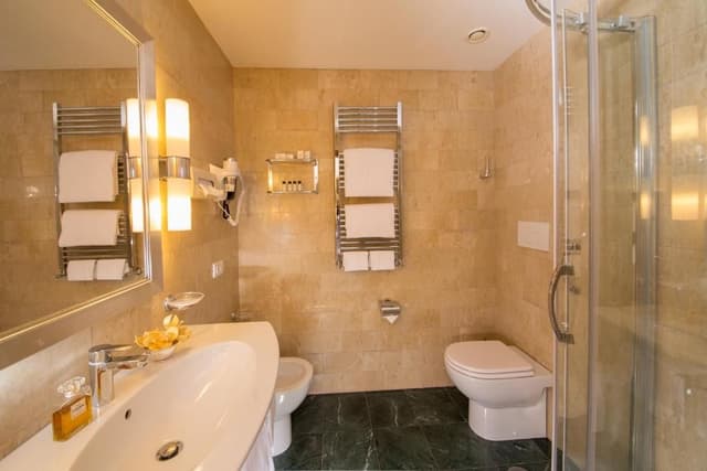 OMNIA Classic Twin