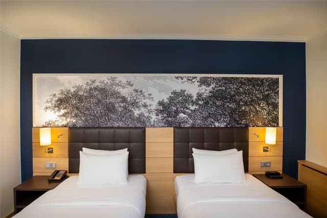 TWIN EXECUTIVE ROOM RHINE WING RIVER VIEW
