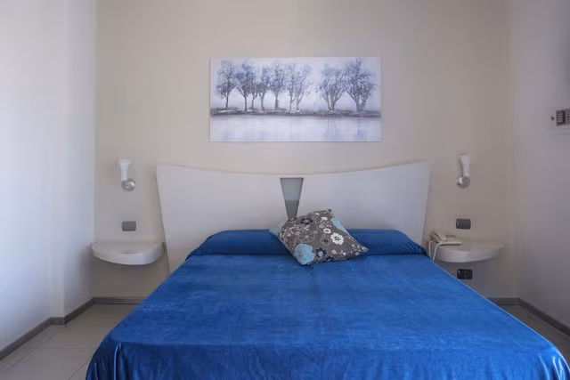 Superior Double or Twin Room