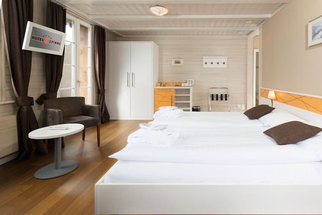 Double Room with Eiger View