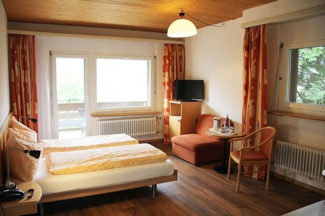 Deluxe Twin Room, Balcony, Mountain View
