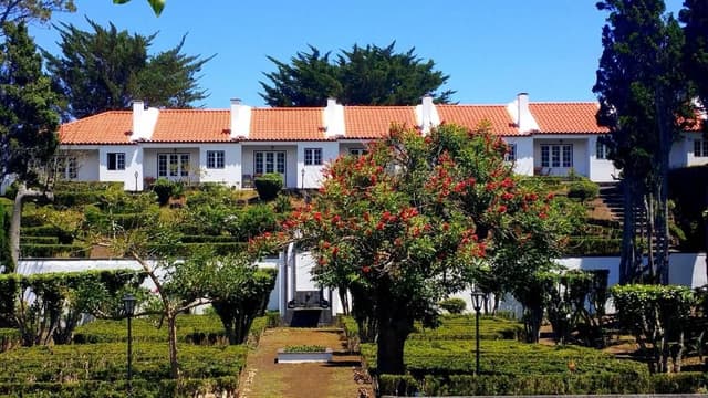 Garden Bungalow