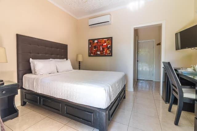 Standard Room with One Queen Bed