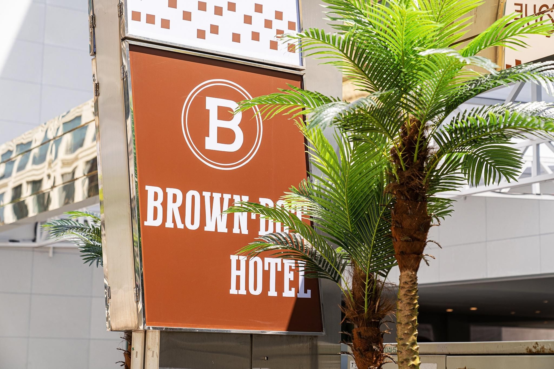 บราวน์ดอท แอร์พอร์ต นิว ทาวน์ (Browndot airport new town)2
