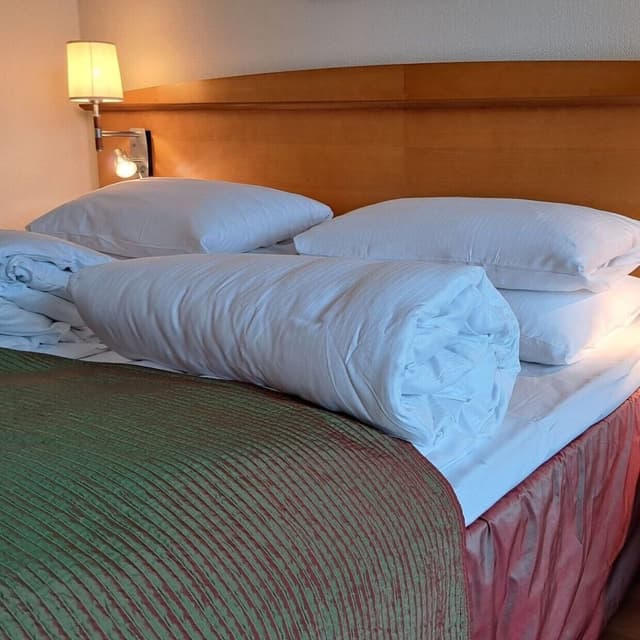 Superior Double or Twin Room (Fjord View)