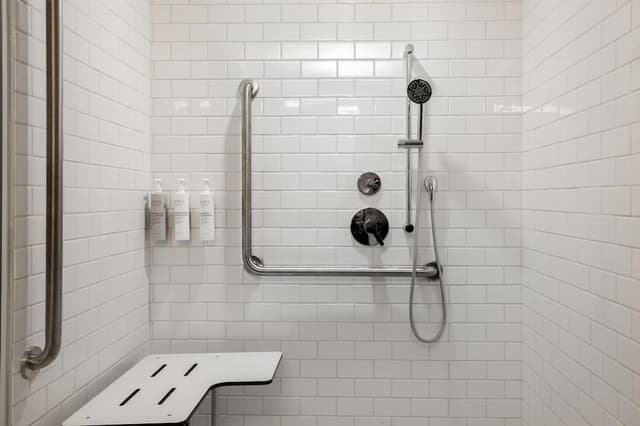 Room, 1 King Bed, Accessible (Mobility & Hearing, Roll-in Shower)