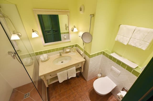 Comfort Room, 1 King Bed, Garden View